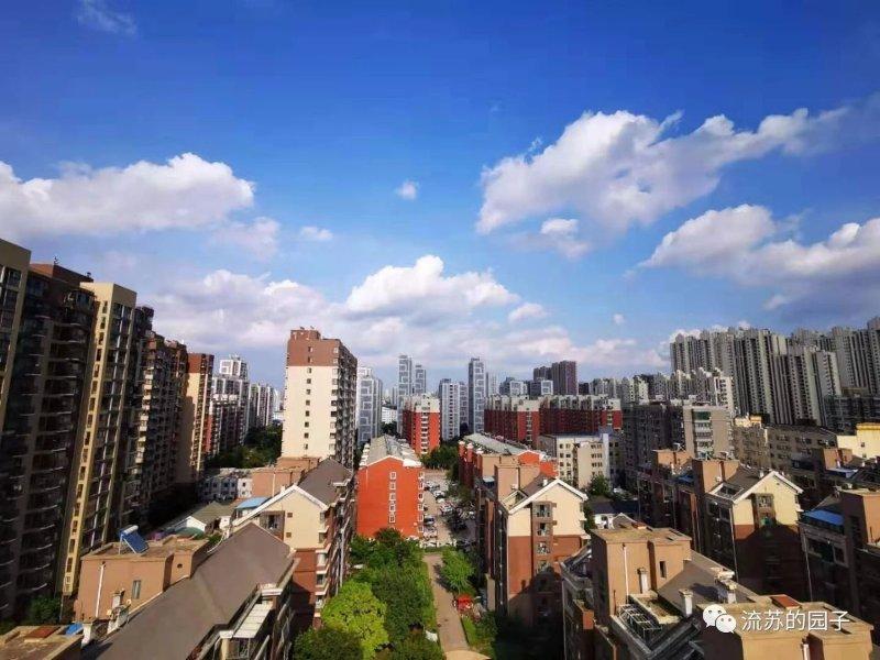 八月未央，秋雨连绵，天凉好个秋(图6)