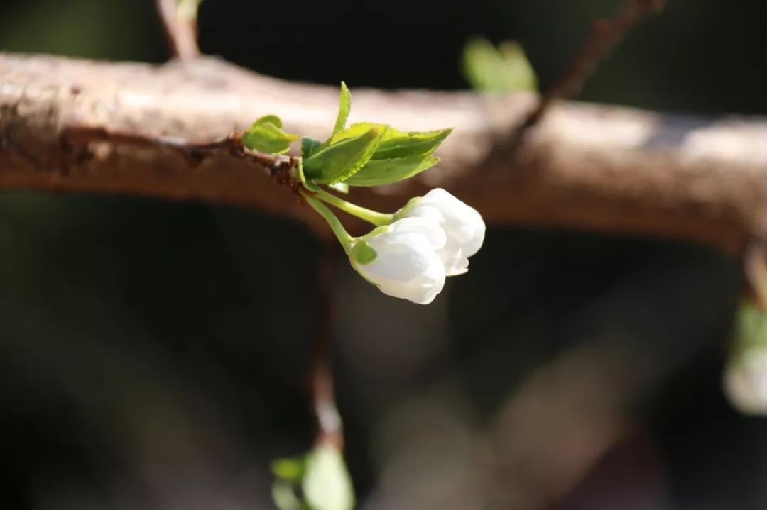 北师大117周年校庆丨峥嵘百年千帆过，芳华正盛谱长歌(图7)