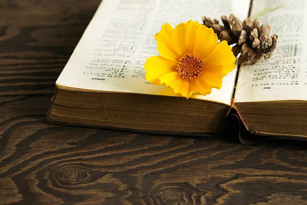 夜话丨梁启超：所有做父亲的，都应该懂得这点(图2)