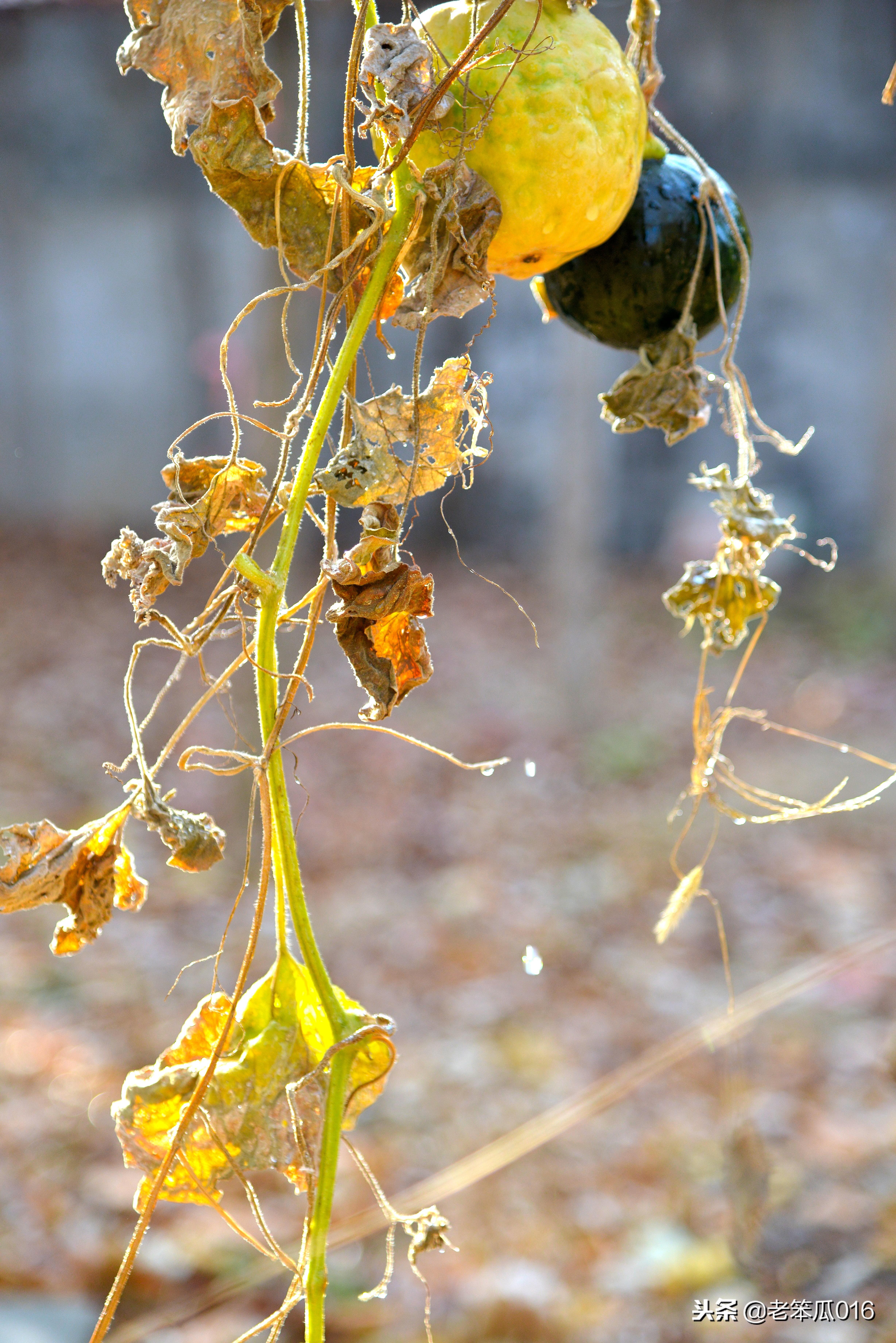 直面过去不认输：高二考试失利的反思，可以启发每一个懒惰的心(图1)