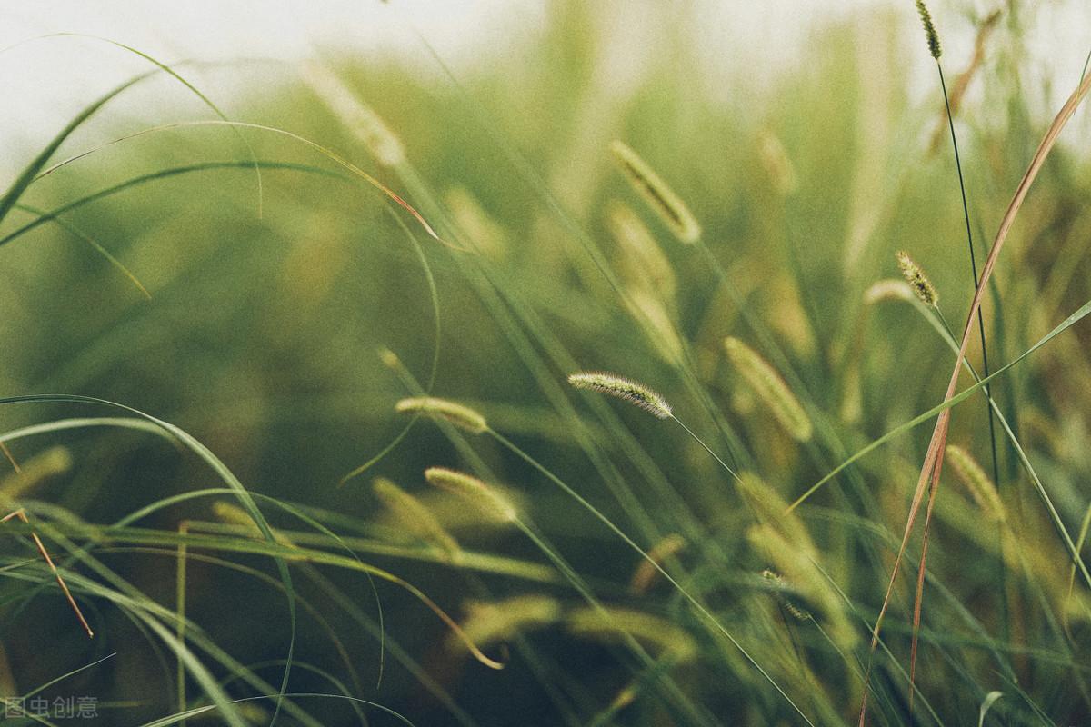 致高考失利的孩子：不必沮丧，人生才刚刚开始(图1)