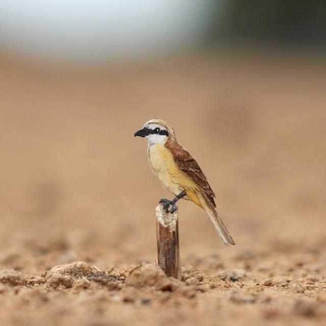 幽默风趣的经典句子，搞笑俏皮，句句乐翻天！(图2)