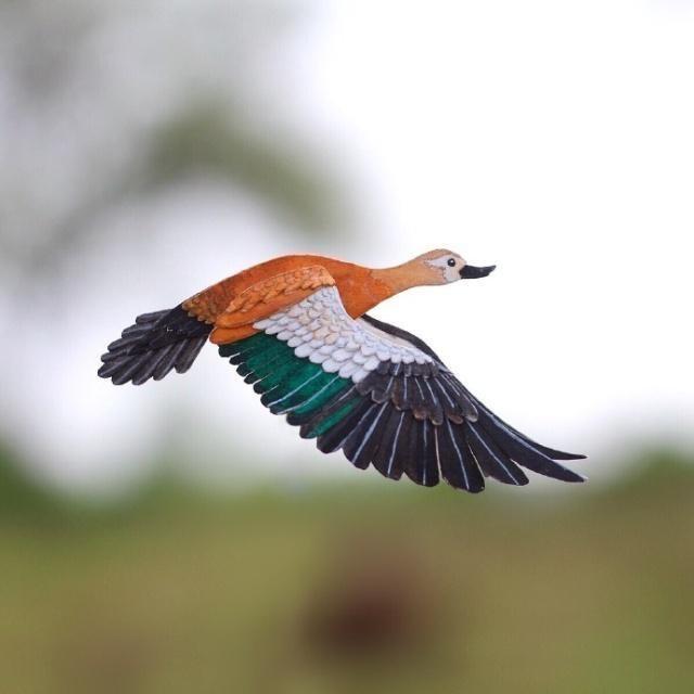 幽默风趣的经典句子，搞笑俏皮，句句乐翻天！(图5)