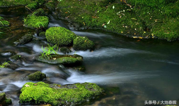 人活着，记住十句话！读一遍，收益一辈子！(图1)