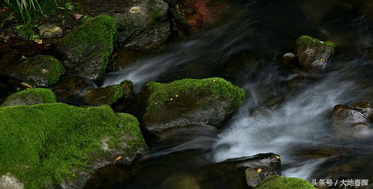 人活着，记住十句话！读一遍，收益一辈子！(图2)