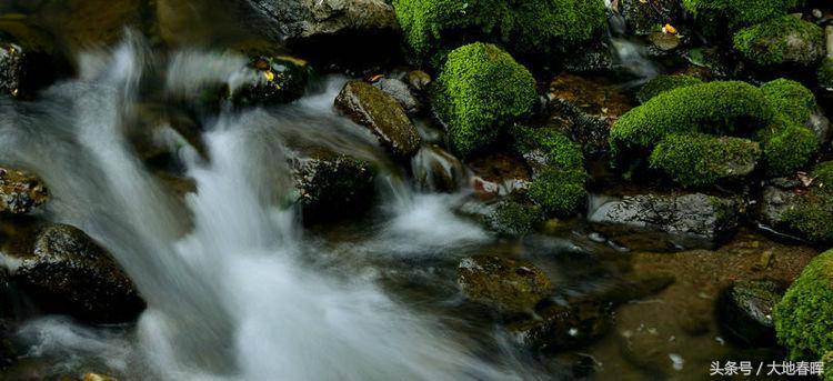 人活着，记住十句话！读一遍，收益一辈子！(图3)