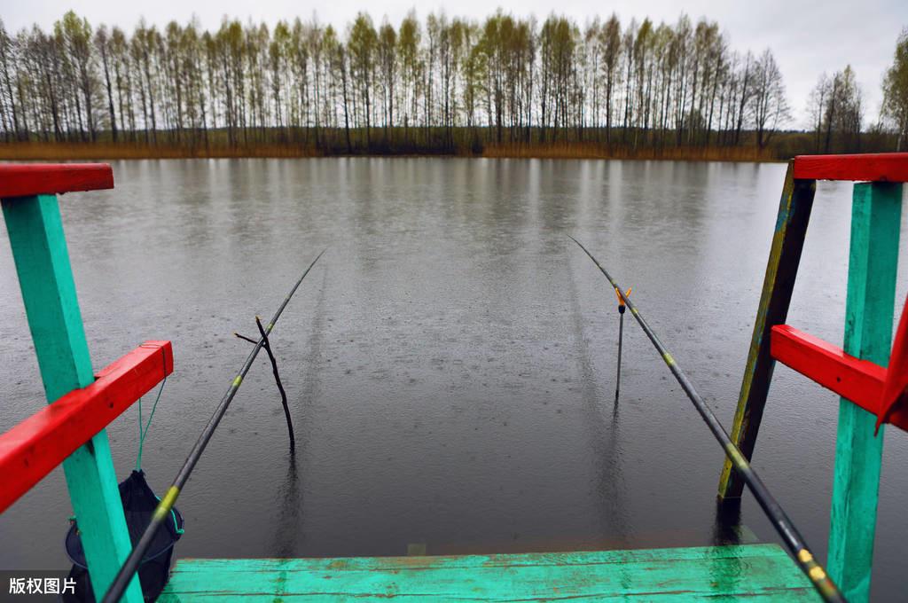雨前、雨中、雨后什么时间钓鱼最好？我总结了一个四季策略(图7)