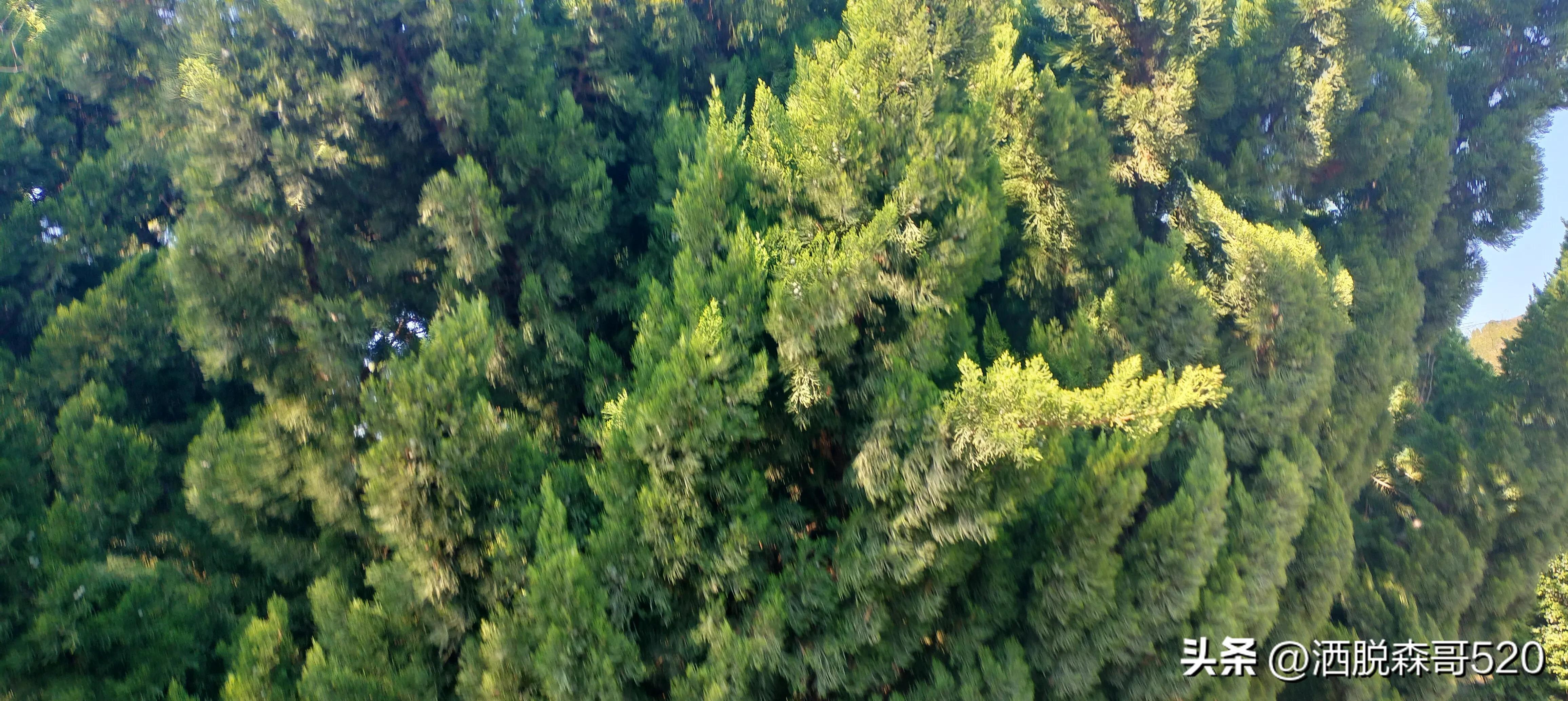 很多大学生即将毕业，步入社会，有几点建议可以提供。加油社会人(图6)