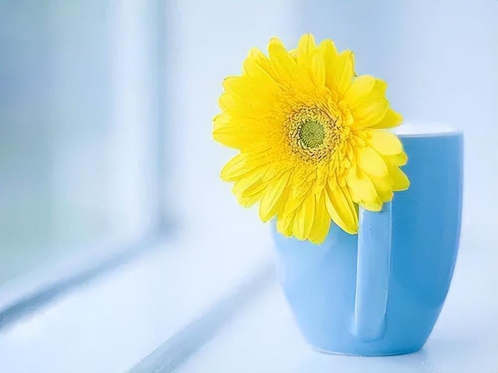 快乐时光的唯美句子，愿您的生命如同阳光明媚，洒满欢声笑语(图1)