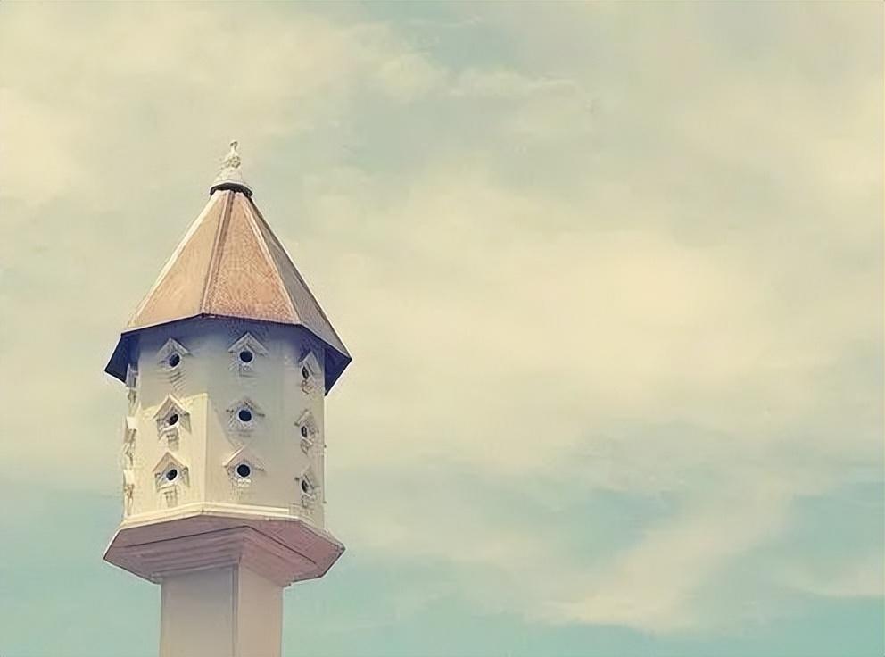 快乐时光的唯美句子，愿您的生命如同阳光明媚，洒满欢声笑语(图2)