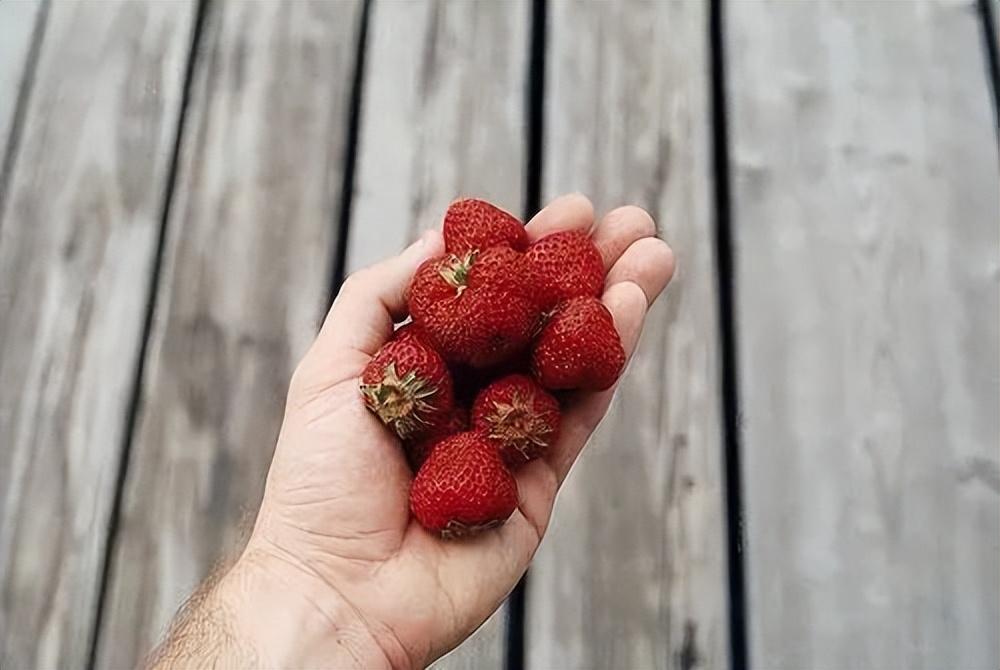 快乐时光的唯美句子，愿您的生命如同阳光明媚，洒满欢声笑语(图3)