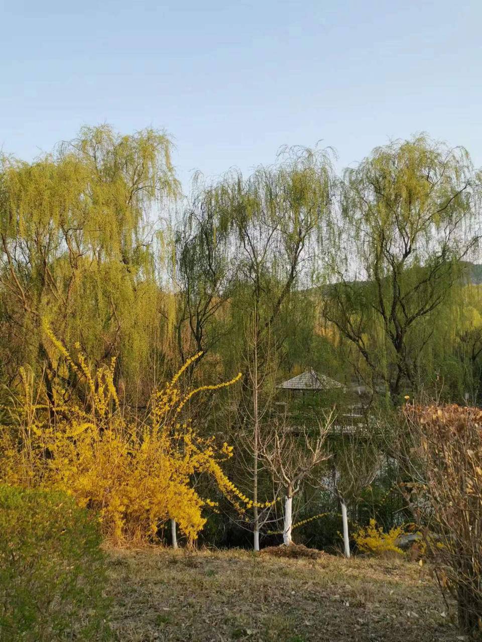 内心澄净，世界便无尘埃；心若欢喜，人生便会宁静致远(图3)