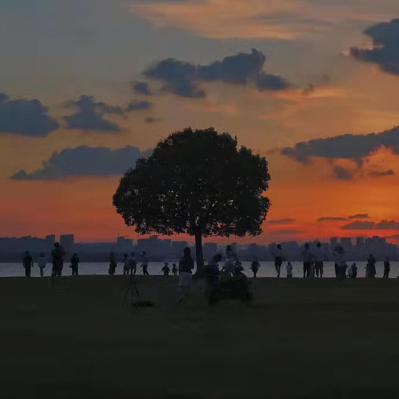 适合天冷发的幽默文案(图3)