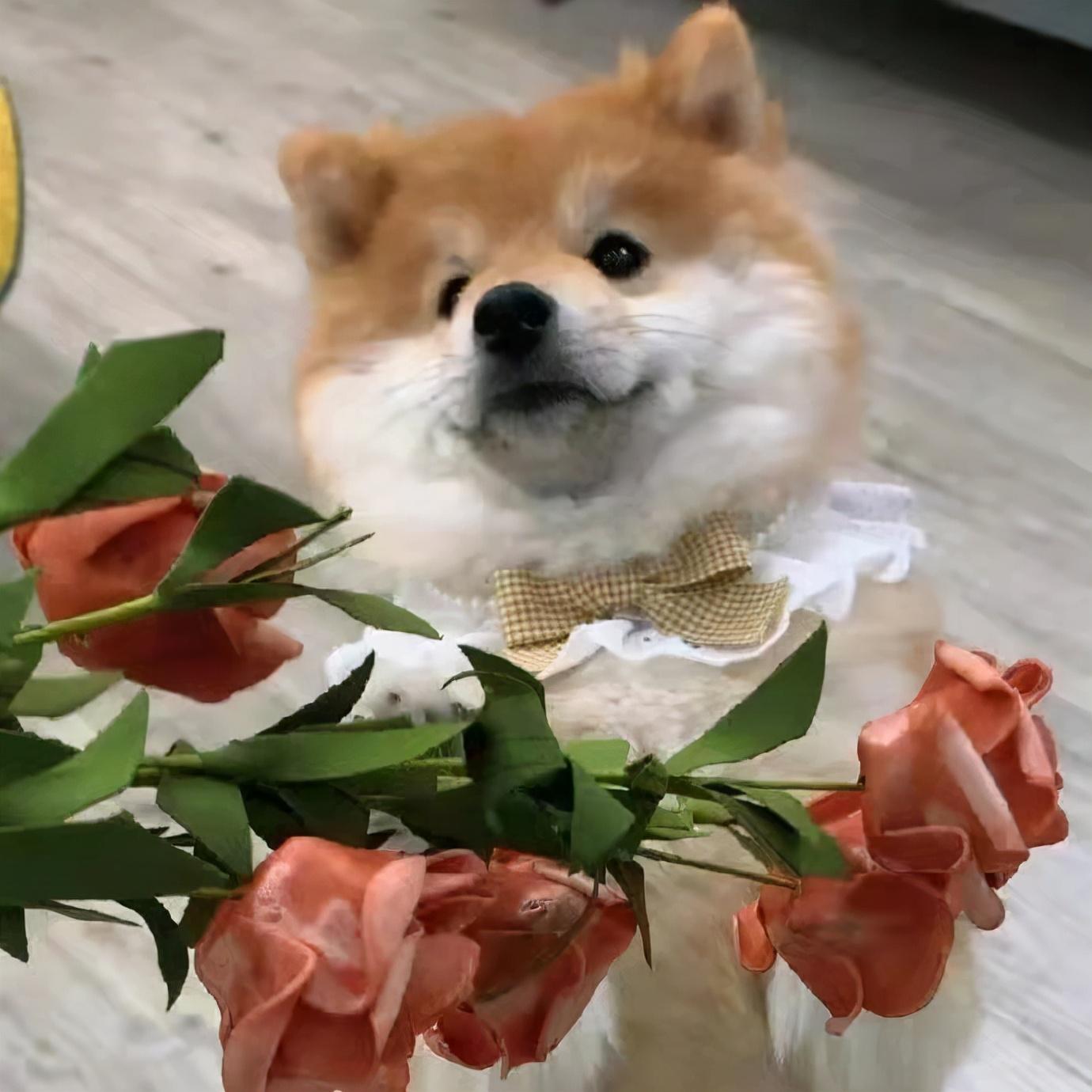 适合天冷发的幽默文案(图6)