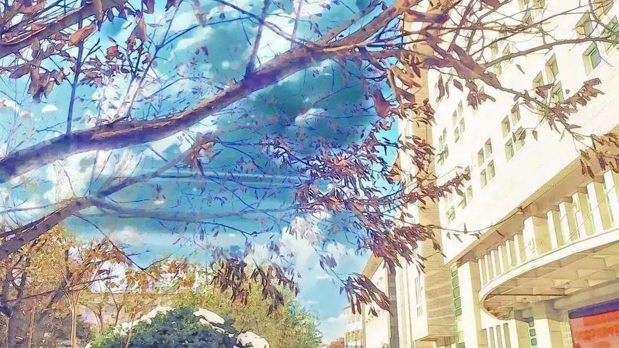 倾情相聚，27句姐妹团圆尽显幸福时刻(图3)