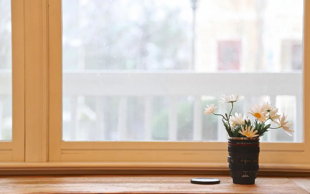 倾情相聚，27句姐妹团圆尽显幸福时刻(图4)