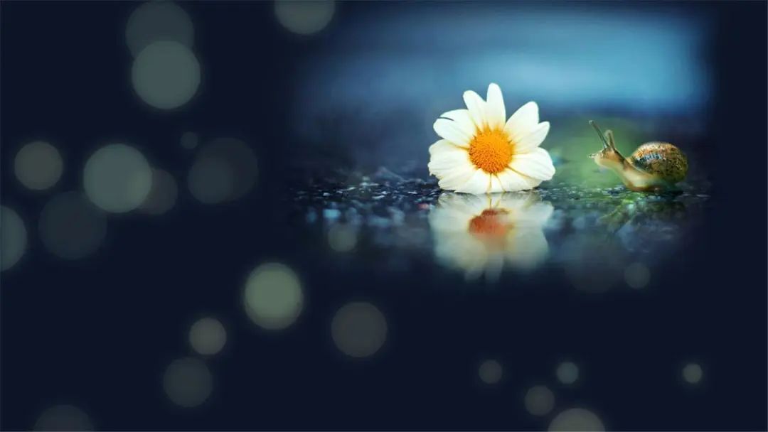 倾情相聚，27句姐妹团圆尽显幸福时刻(图7)