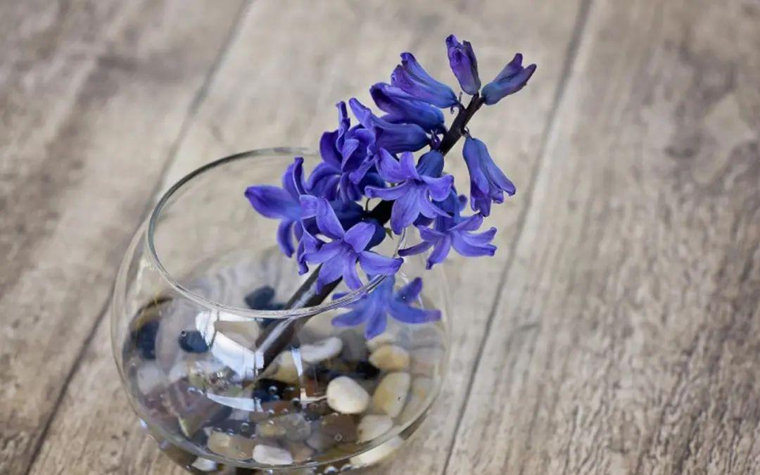 共享欢乐时光，朋友相聚一起快乐时光句子(图2)