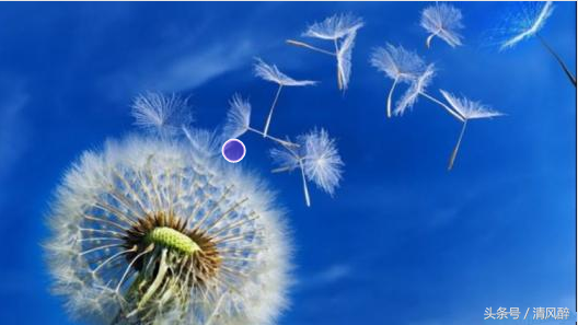 关于成功的名人励志语录(图2) 关于成功的名人励志语录(图2)