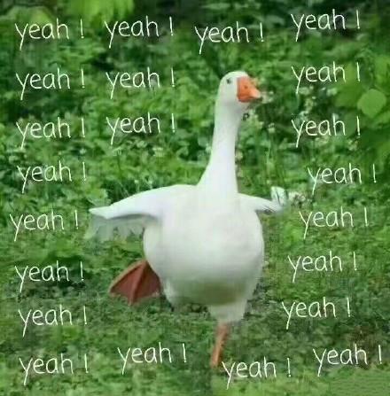 赞美感恩母亲的名人名言 母亲节写给妈妈的话唯美简短(图1)