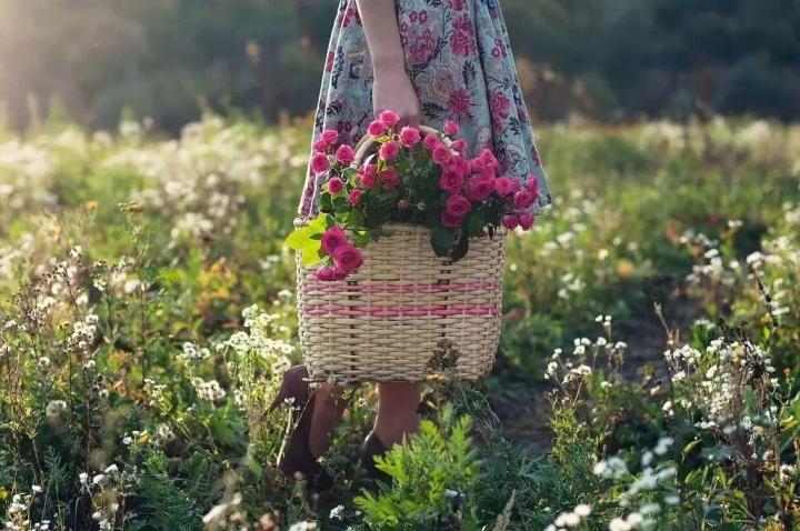 100句新年祝福文案，来了！(图3)