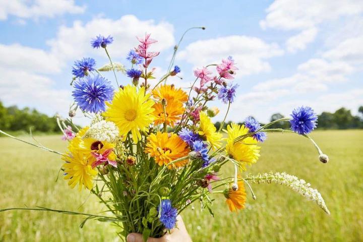 100句新年祝福文案，来了！(图5)