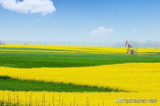 高考励志名言70句经典(图1)