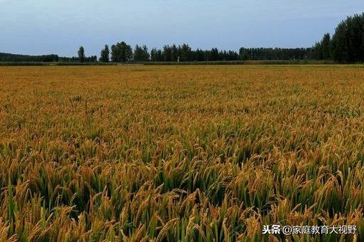 高考励志名言70句经典(图2)