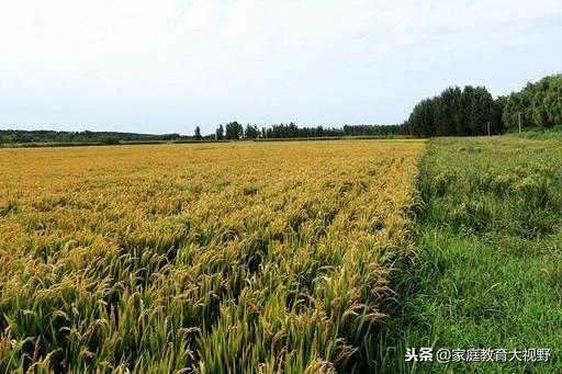 高考励志名言70句经典(图4)