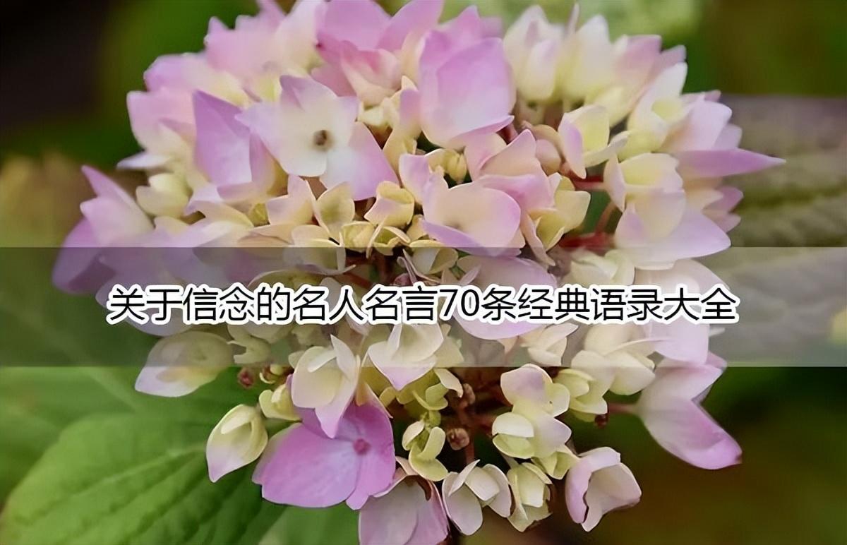 关于信念的名人名言70条经典语录大全(图1)