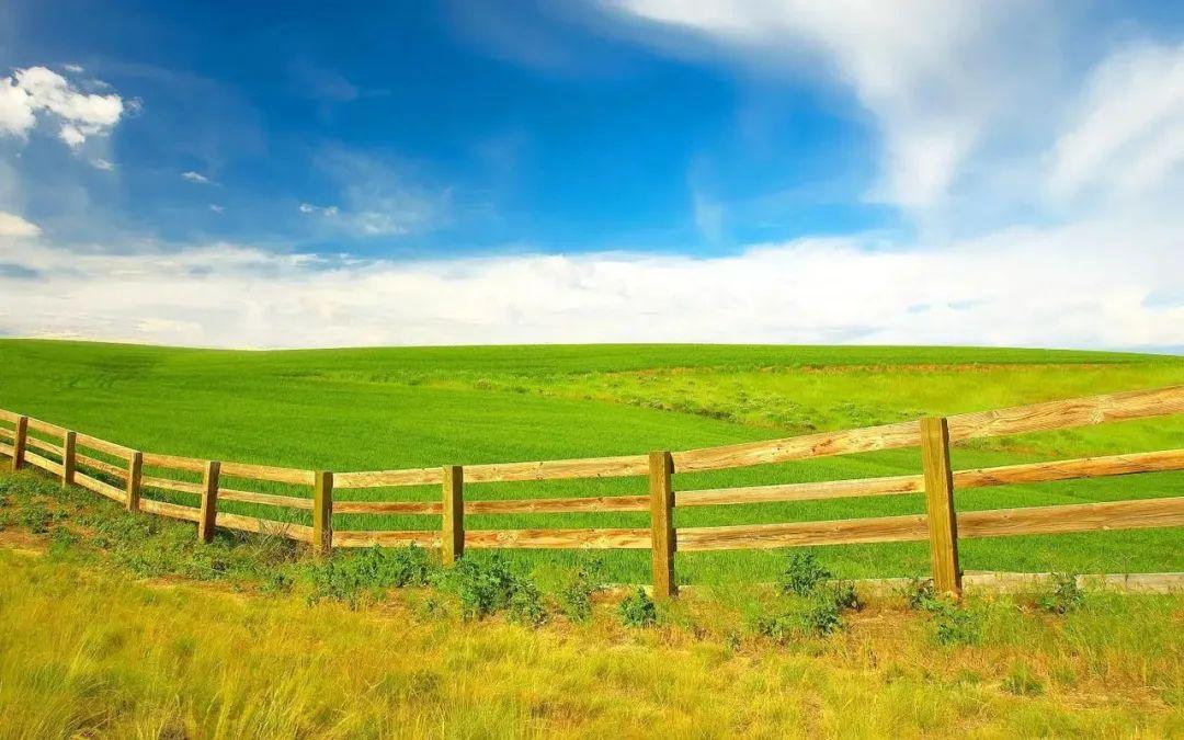 关于信念的名人名言70条经典语录大全(图2)