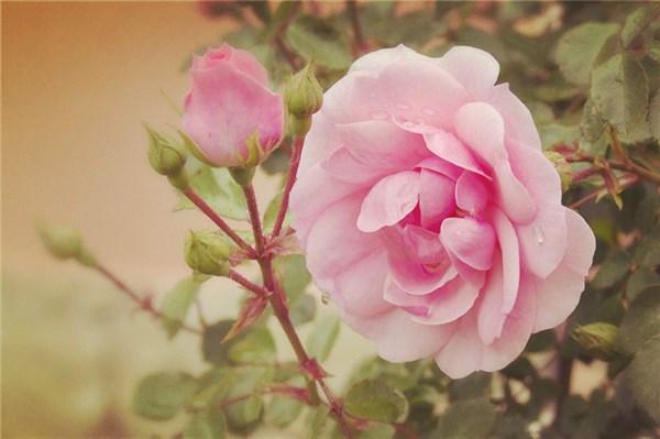 深刻经典的人生良言，句句深入人心，很适合发朋友圈(图3)