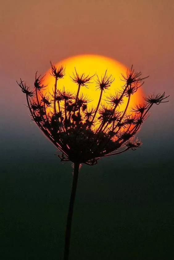 世界500强企业总裁经典语录（思考篇）(图3)