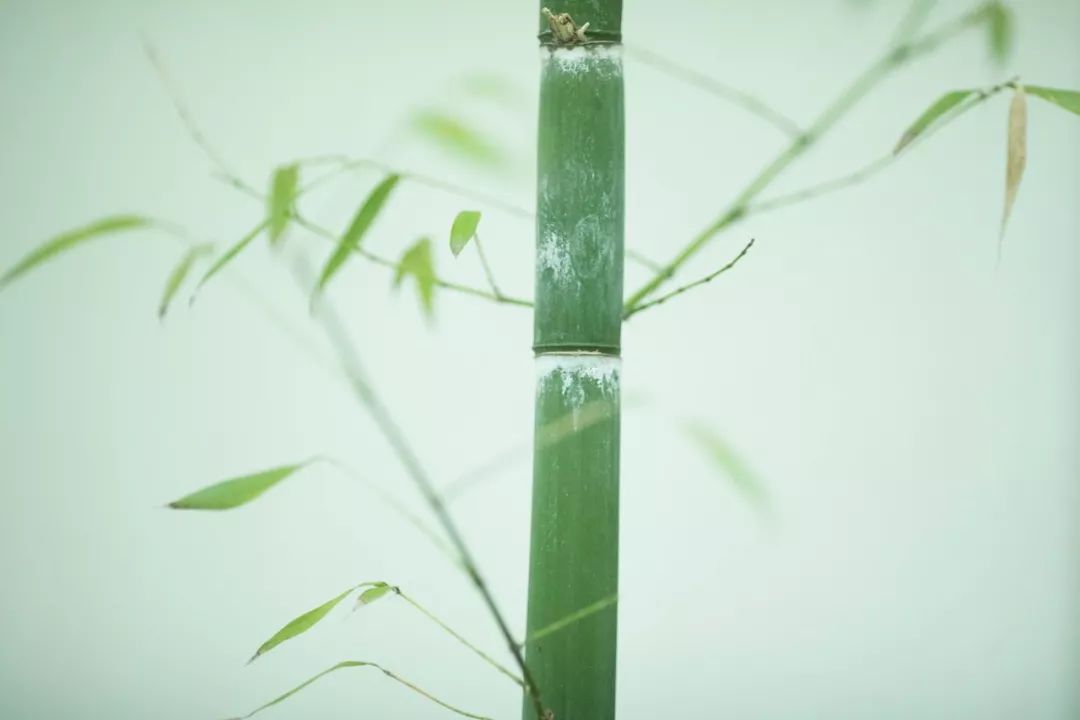 100句对偶佳句，汉语真的好美！(图5)