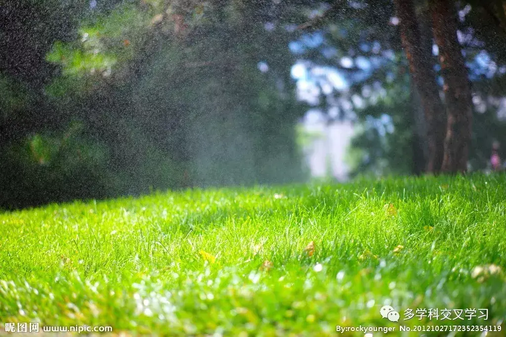 帮助他人就是帮助自己，成就他人就是成就自己(图1)