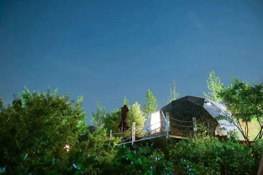 繁星满天，仰望星辰(图9)