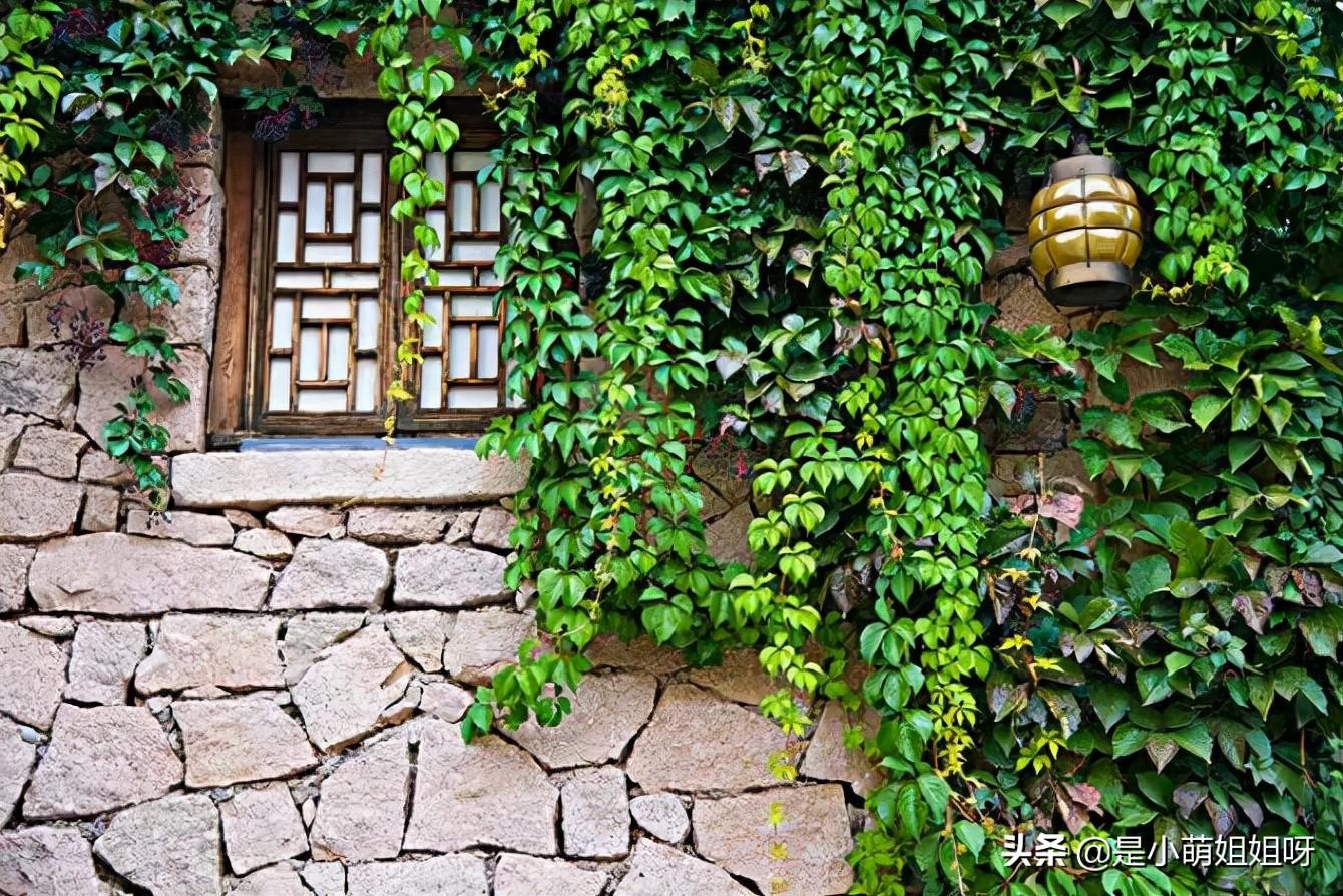 如果你现在很穷，不妨试一下互联网低成本的轻创业，也许会有惊喜(图7)