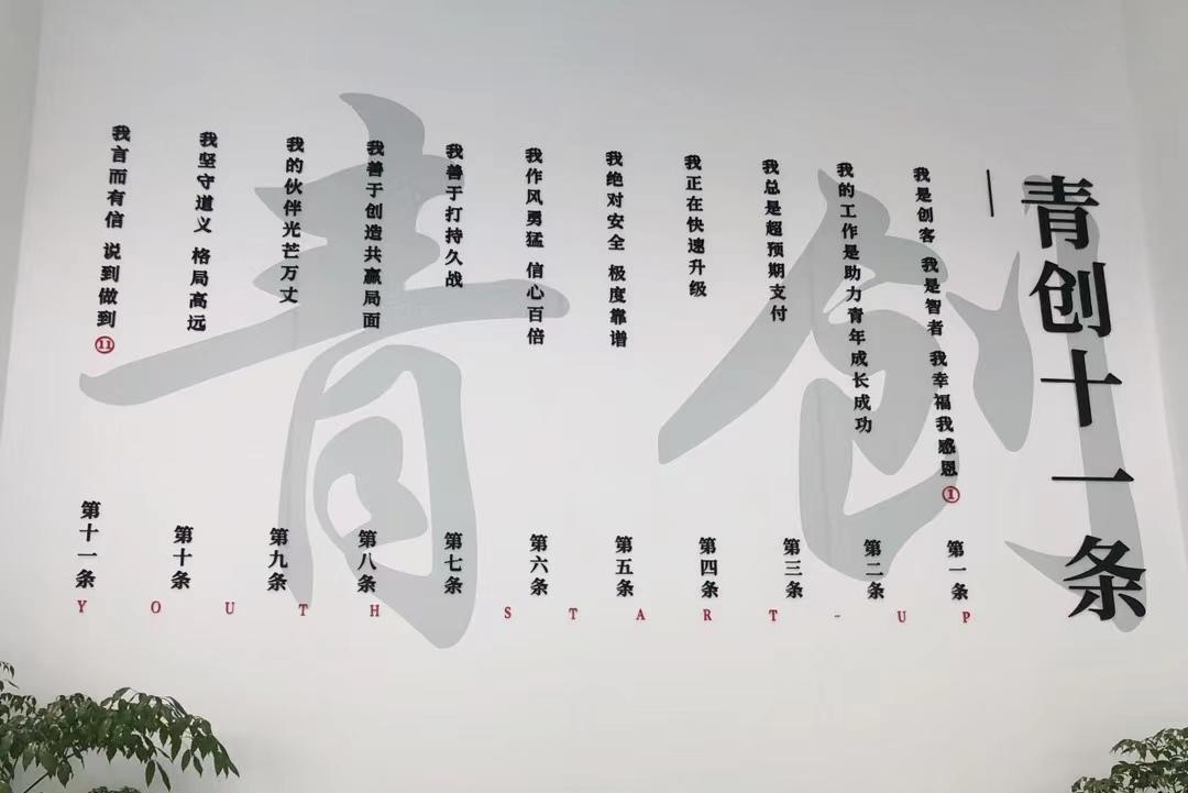 青年微创业｜致青春创未来：初心不改，以梦为马，不负韶华(图8)