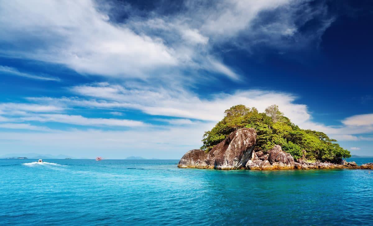 清晨涅槃重生的励志句子,努力生长,生生不息(图4)