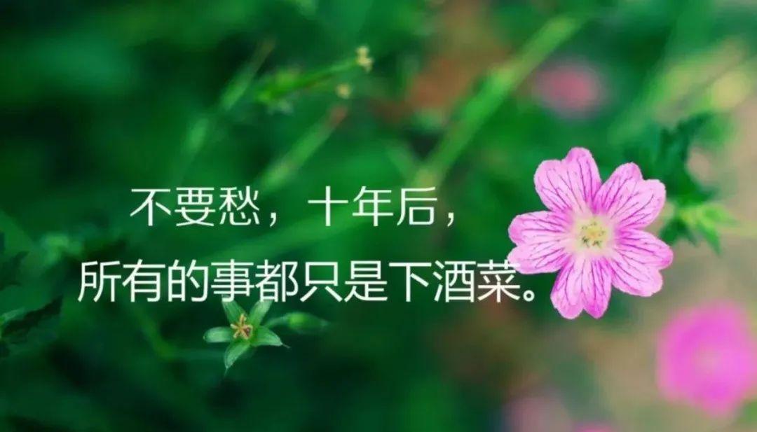 发朋友圈涅槃重生的励志句子，正能量激励人的好句子(图4)