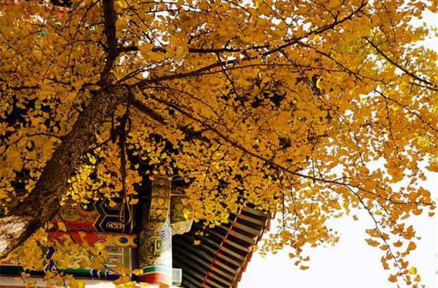 人生成败的10句经典名言！是非成败转头空(图2)