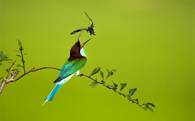 季羡林经典语录：要说真话，不讲假话；假话全不讲，真话不全讲(图2)