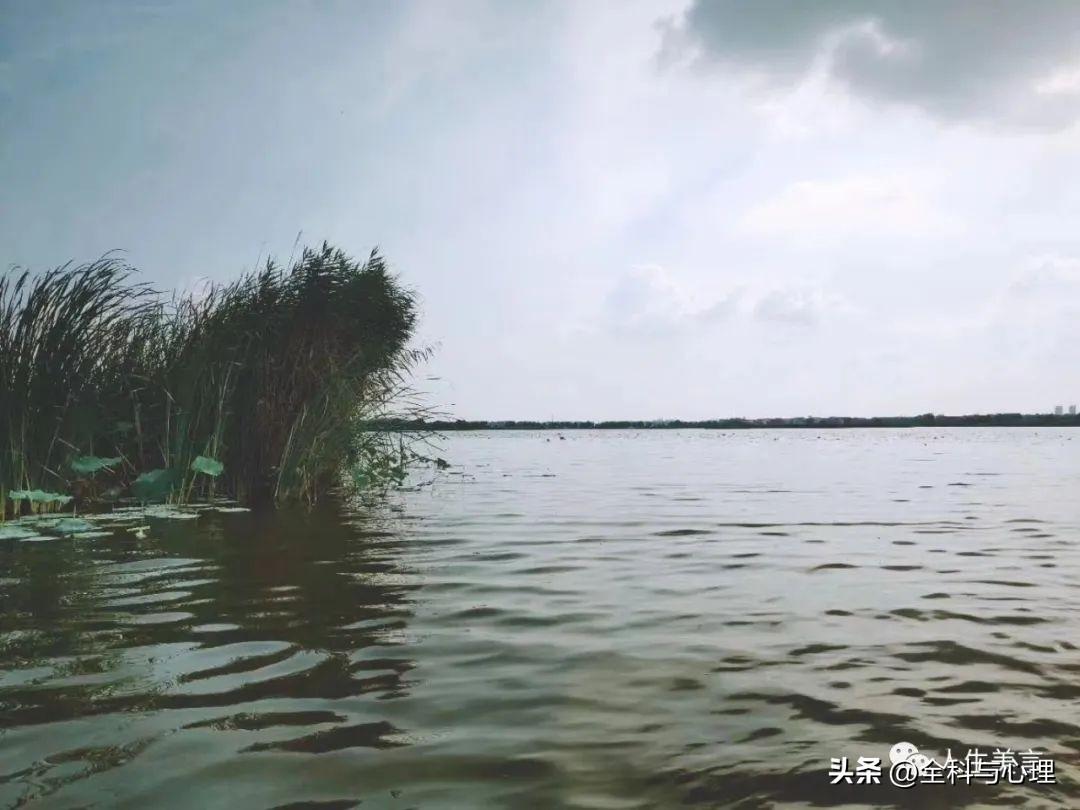 又拽又霸气的句子简短，取悦自己的霸气句子(图3)