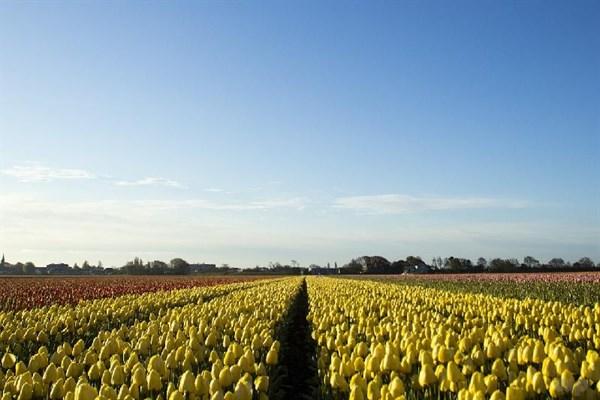 最简短深情的情话，句句深入人心，火爆朋友圈(图5)