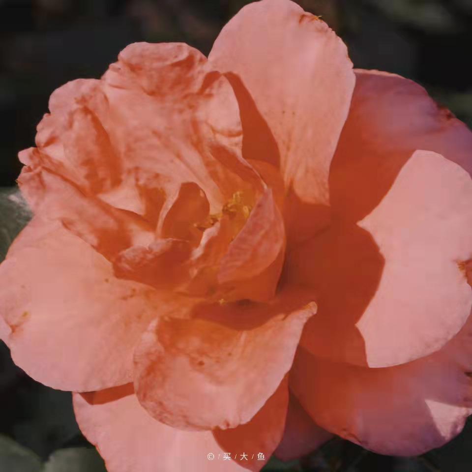 简短干净的短句文案(图3)