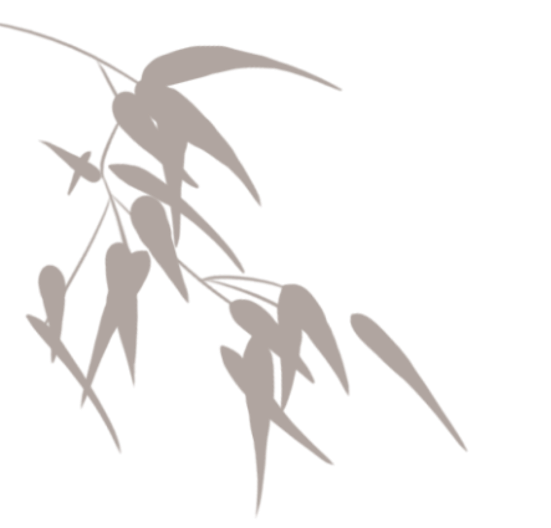 把爱带回家丨“亲子共聚 和睦家庭”《亲子共读 家风家训》(图3)