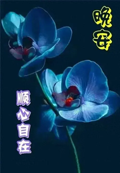 2023最新漂亮晚上好问候祝福语 发朋友圈晚安问候图片带字温馨(图1)