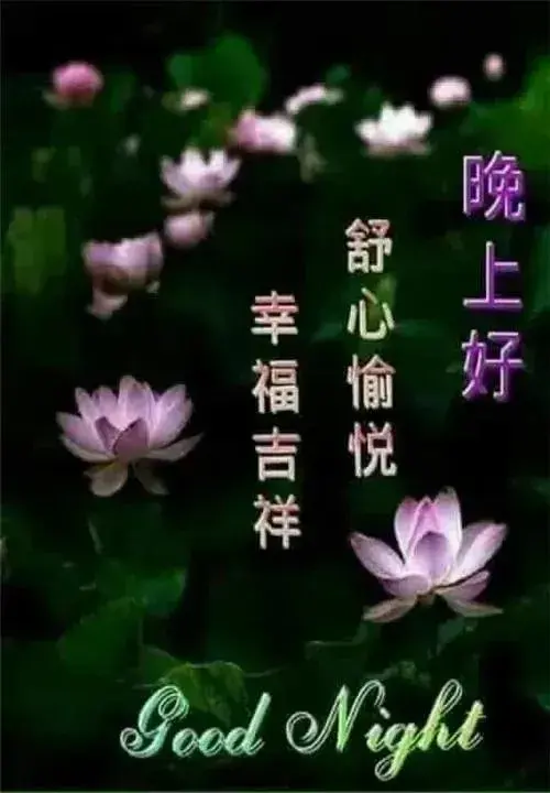 2023最新漂亮晚上好问候祝福语 发朋友圈晚安问候图片带字温馨(图2)