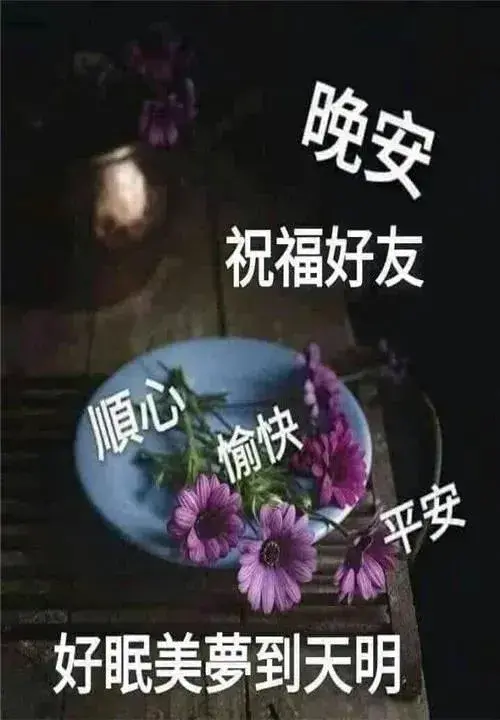 2023最新漂亮晚上好问候祝福语 发朋友圈晚安问候图片带字温馨(图5)