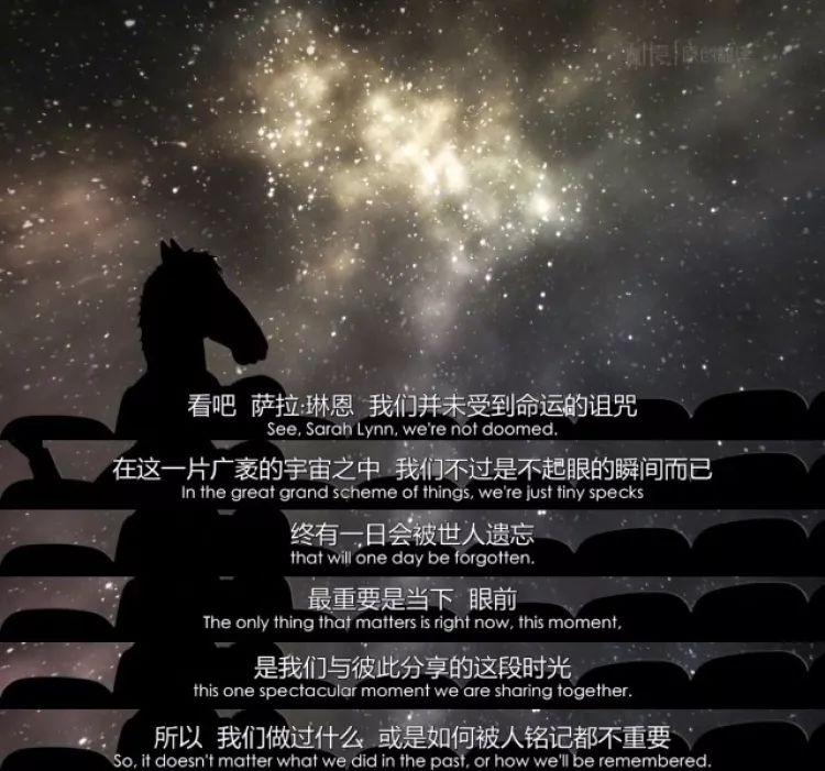 反鸡汤、高级颓，《马男波杰克》这32句台词每句都扎到你心坎里(图32)